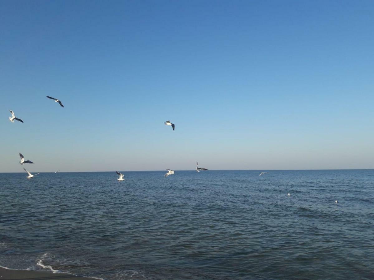 Kuestenwilla Fewo Usedom Цинновіц Екстер'єр фото